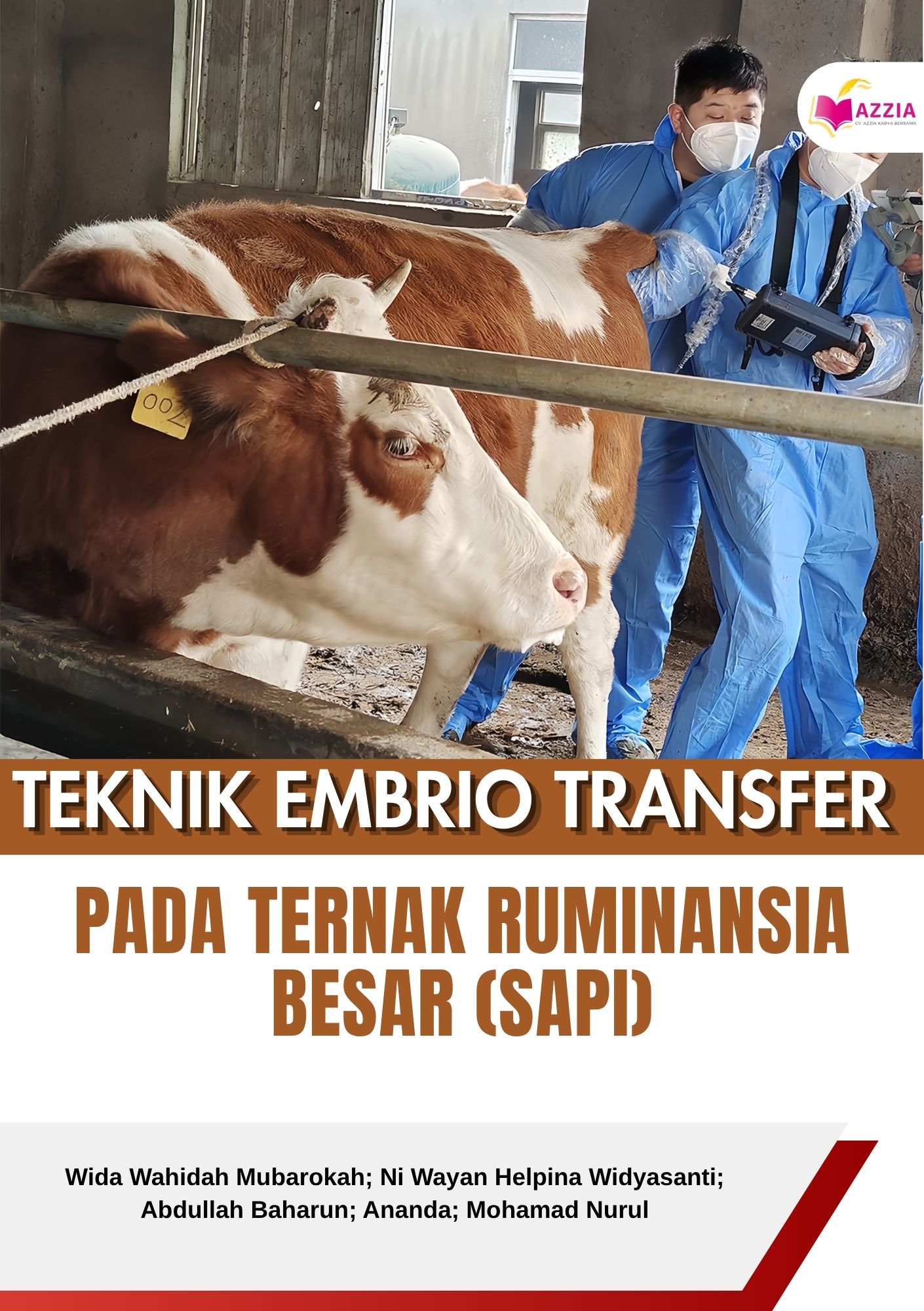 Teknik Embrio Transfer pada Ternak Ruminansia Besar (Sapi)