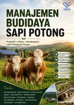 Manajemen Budidaya Sapi Potong: Produktif, Efisien, Berkelanjutan untuk Ketahanan Pangan