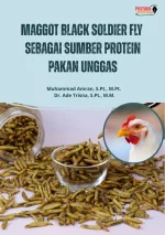 Maggot Black Soldier Fly Sebagai Sumber Protein Pakan Unggas