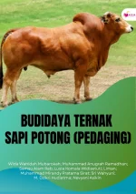 Budidaya Ternak Sapi Potong (Pedaging)